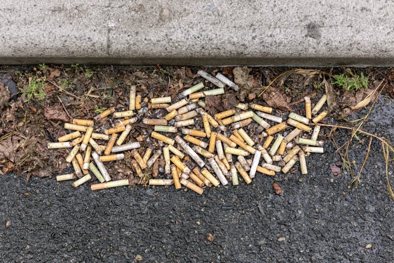 Cigarette butts scattered on pavement beside curb in urban area