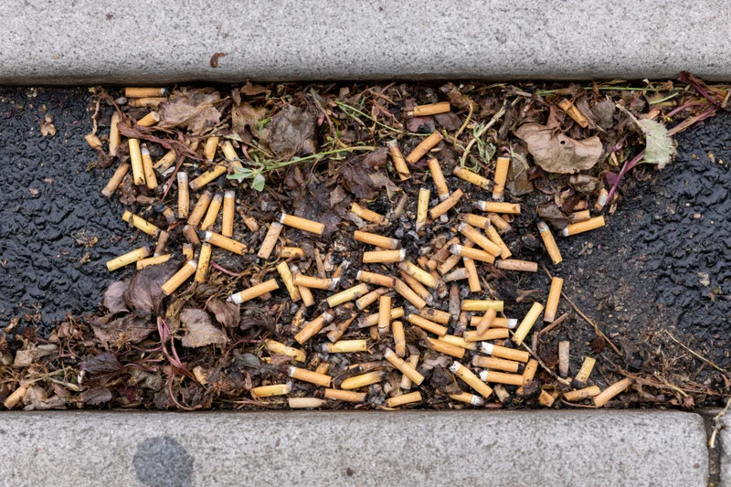 Cigarette butts scattered in a wet urban sidewalk gutter among leaves and debris
