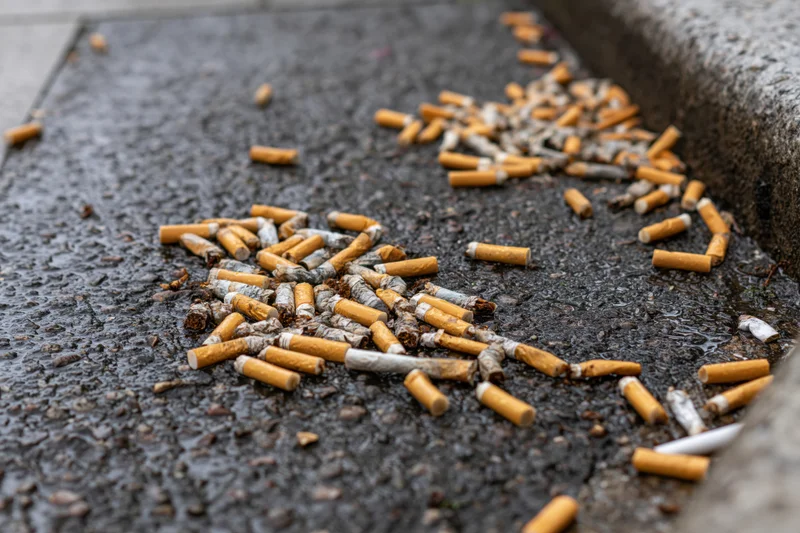 Discarded cigarette butts scattered on wet asphalt pavement in an urban setting