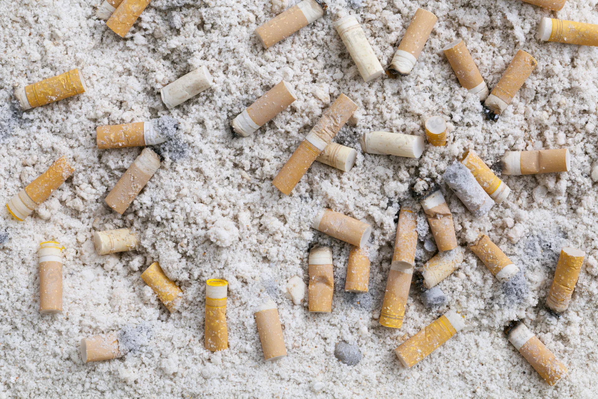 Cigarette butts scattered and half-buried in sand on a beach
