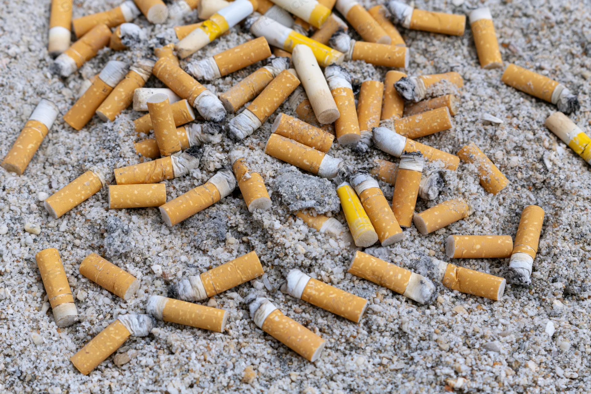 Discarded cigarette butts scattered on sandy ground