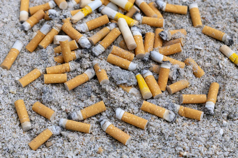 Discarded cigarette butts scattered on sandy ground