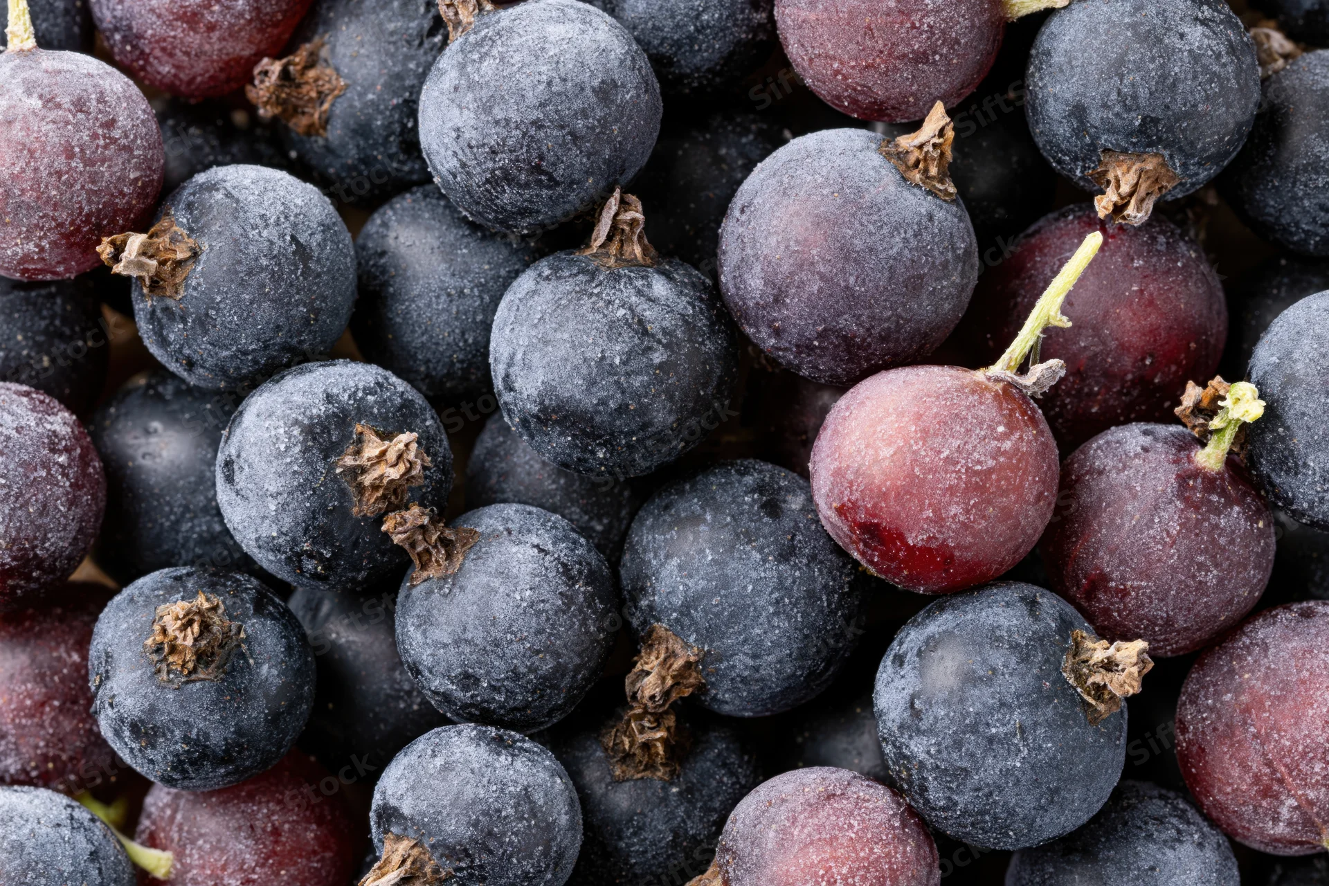 Frozen black currants filling the frame in a close-up view
