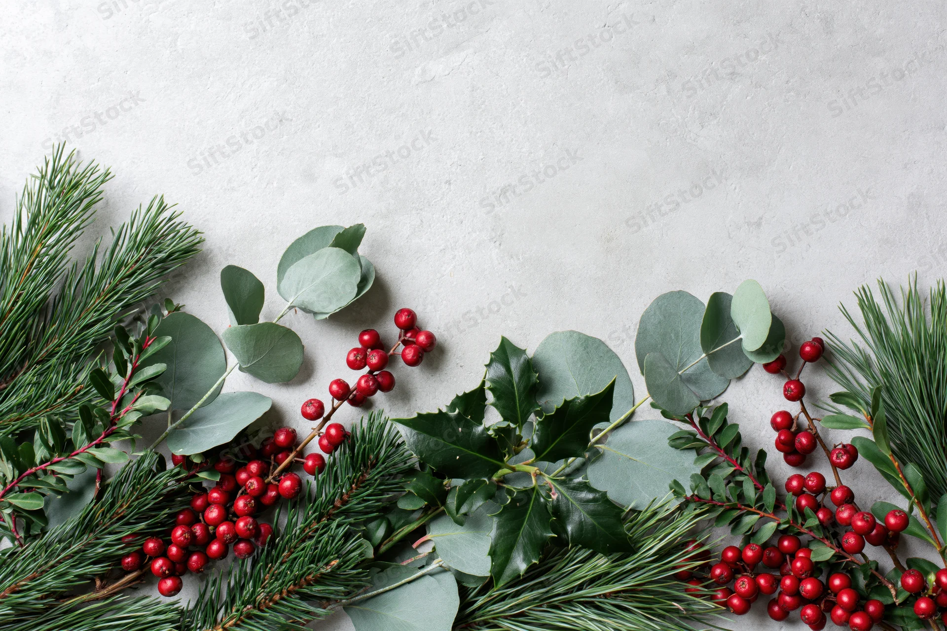 Christmas botanicals arranged along bottom edge on textured white surface