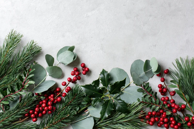 Christmas botanicals arranged along bottom edge on textured white surface