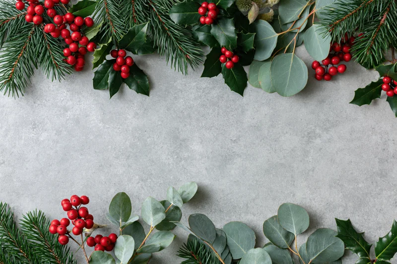 Christmas botanicals arranged along the top and bottom edges of a gray surface with copyspace in the center