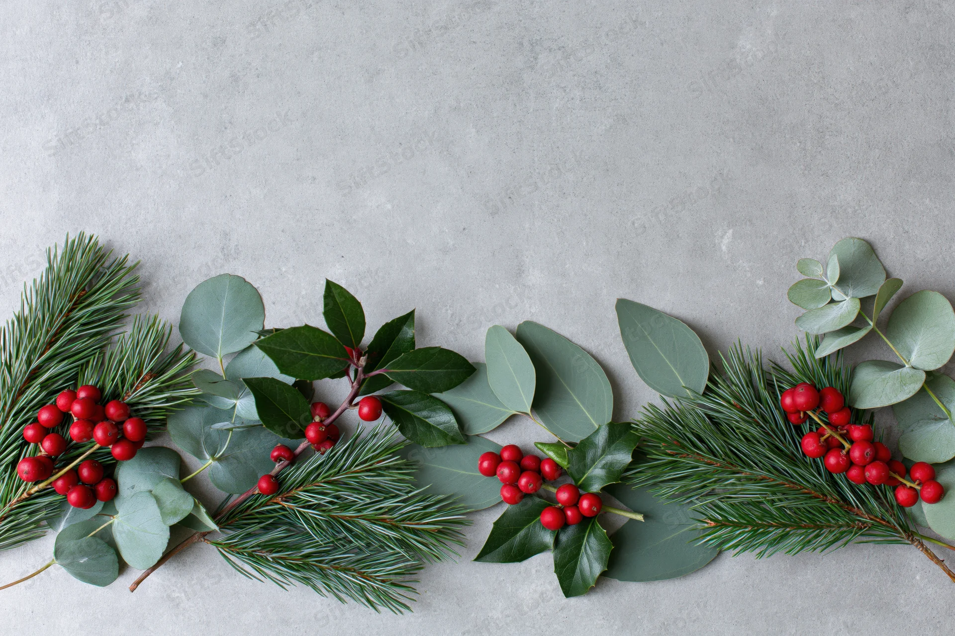 Christmas botanicals arranged along bottom edge on gray surface with copyspace