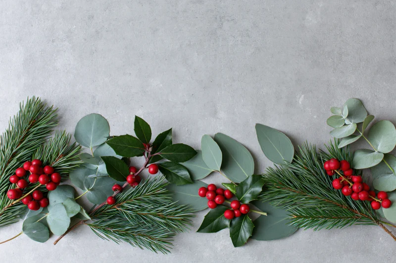 Christmas botanicals arranged along bottom edge on gray surface with copyspace