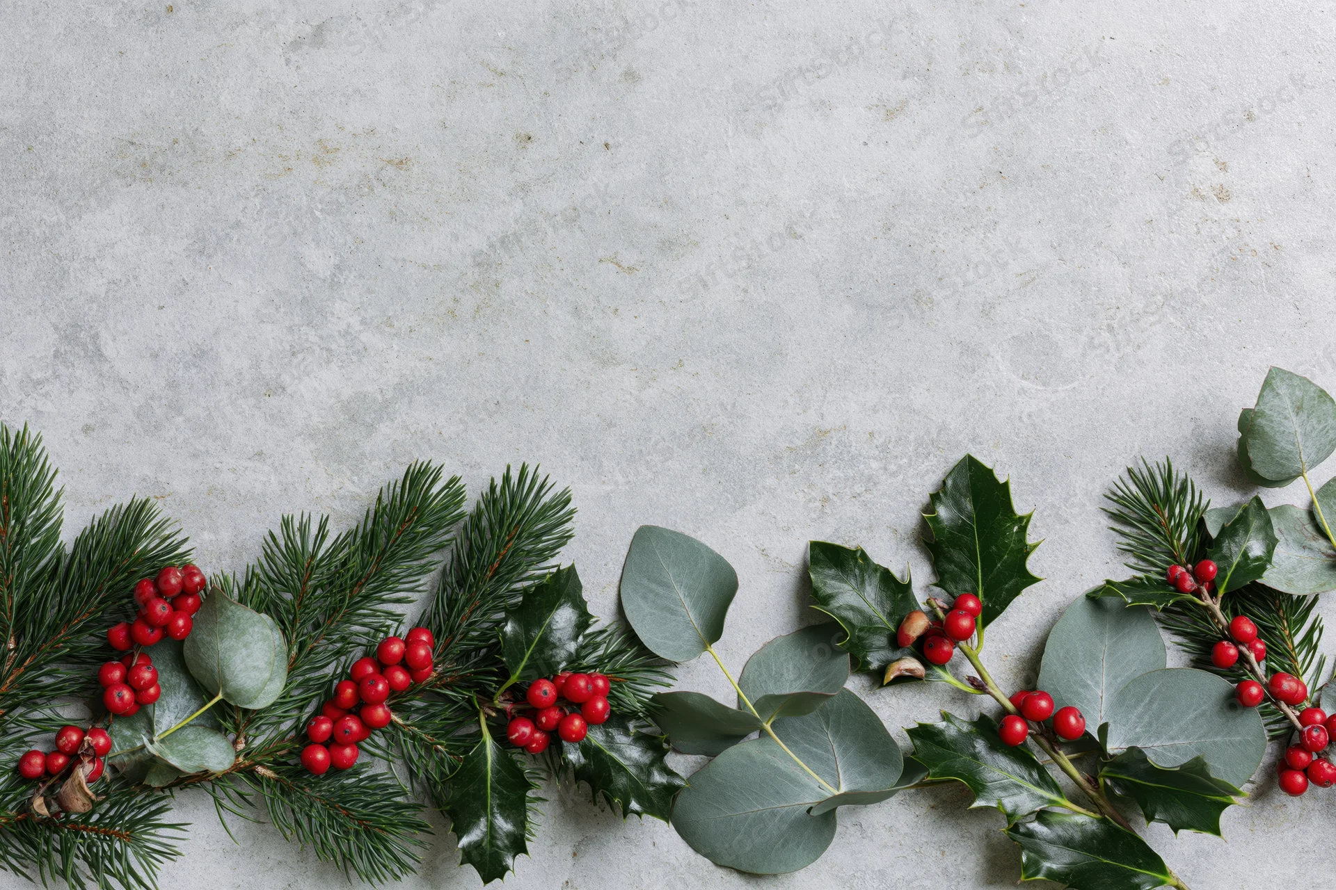 Christmas botanicals arranged along bottom edge of gray surface with copyspace above