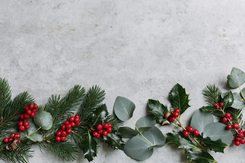 Flat lay of Christmas botanicals arranged along the bottom edge