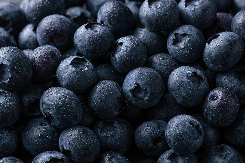 Closeup of fresh blueberries covered in water droplets filling the frame