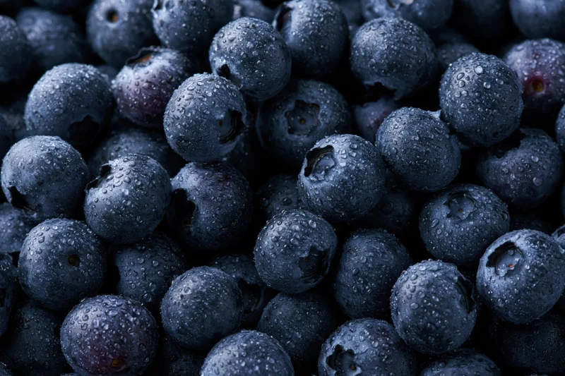 Closeup of fresh blueberries covered in water droplets filling the frame