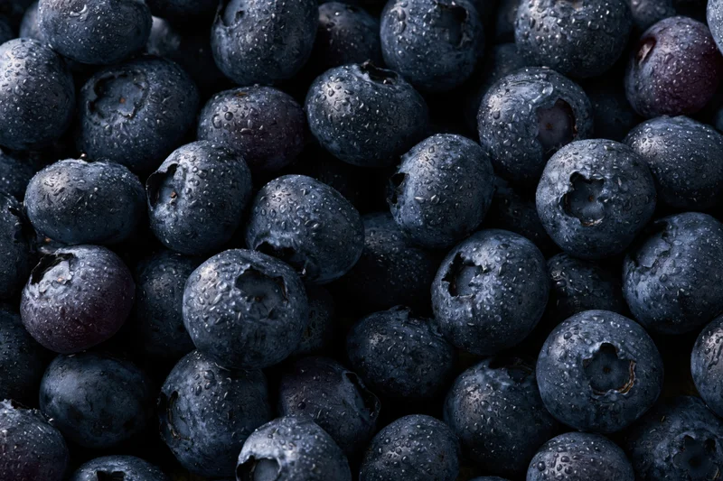 Closeup of fresh blueberries covered in water droplets filling the frame