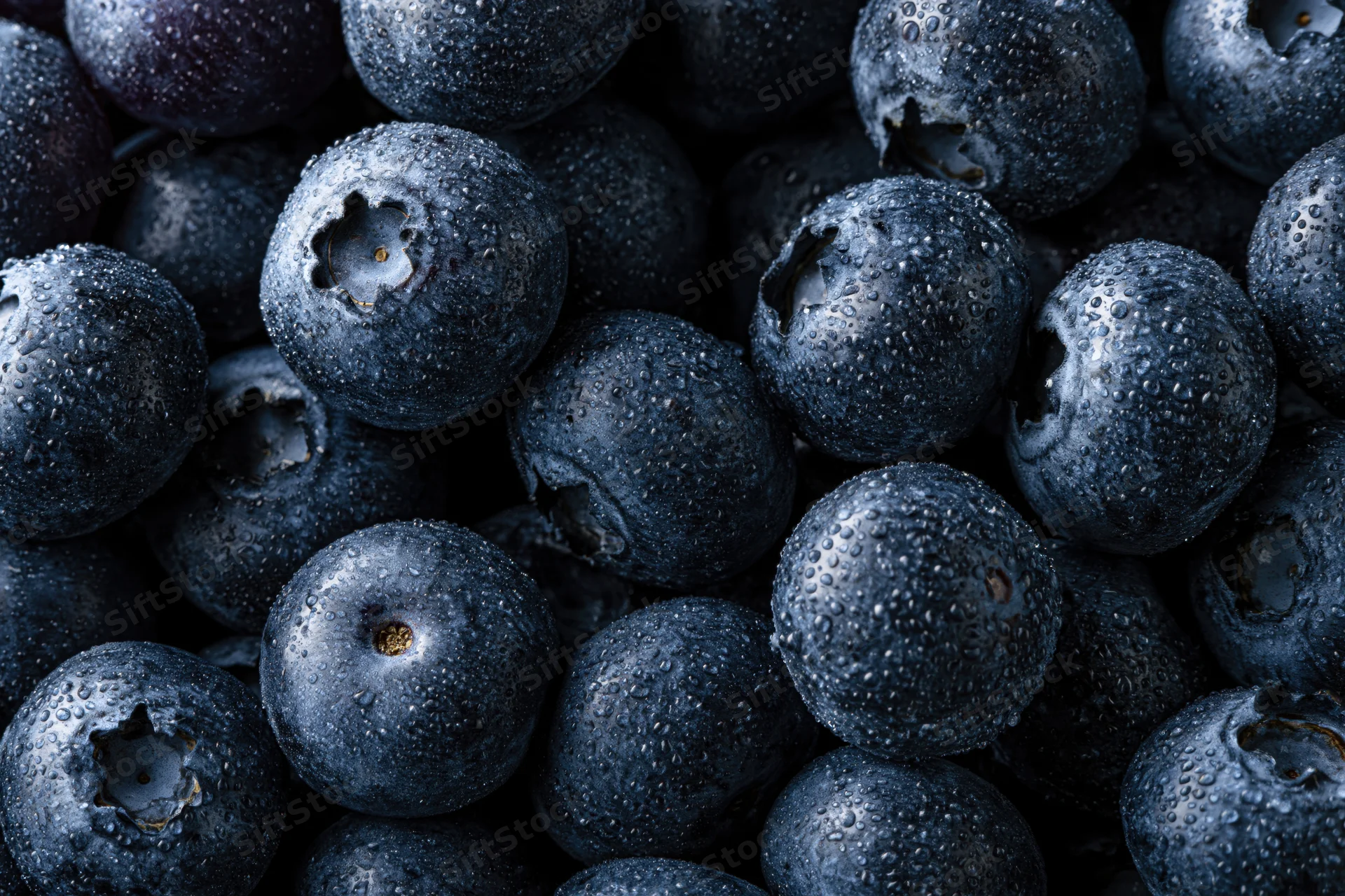 Closeup of fresh blueberries covered in water droplets filling the frame