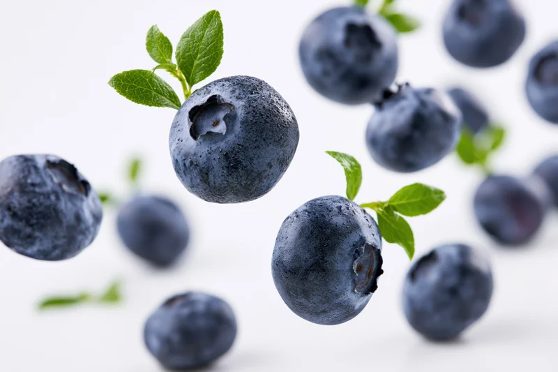 Blueberries floating midair with green leaves against white background