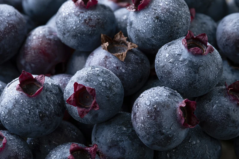Fresh blueberries clustered together covered in water droplets