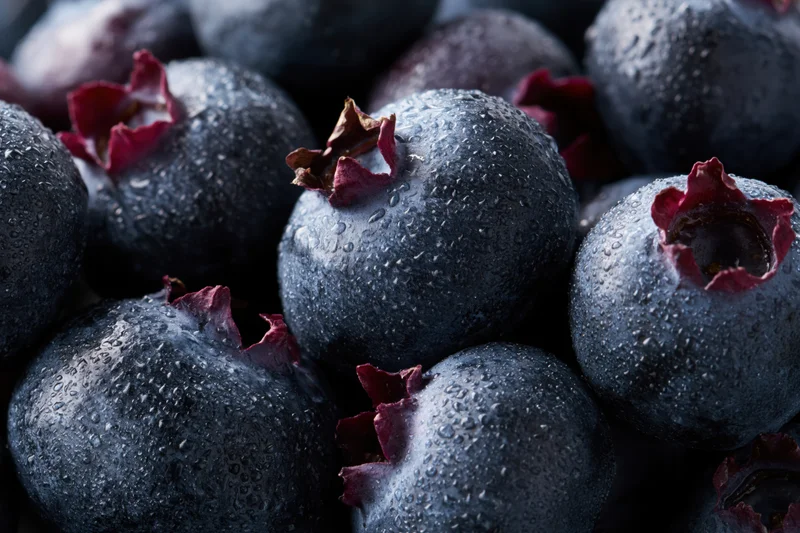 Closeup of dark blueberries covered in water droplets clustered together