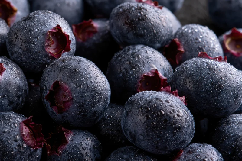 Closeup of fresh dark blueberries clustered together with water droplets on their skin