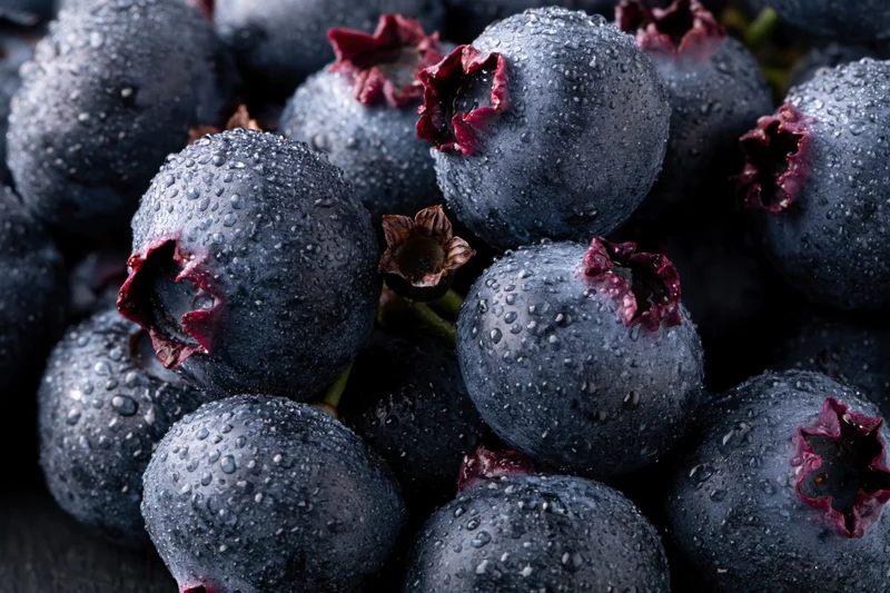Closeup of fresh dark blueberries covered in water droplets clustered together