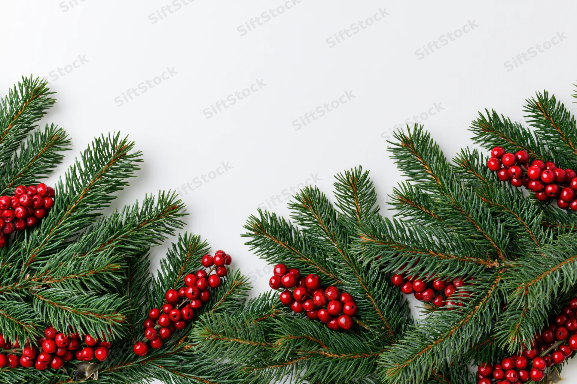 Pine branches with red holly berries arranged along the bottom of a white surface
