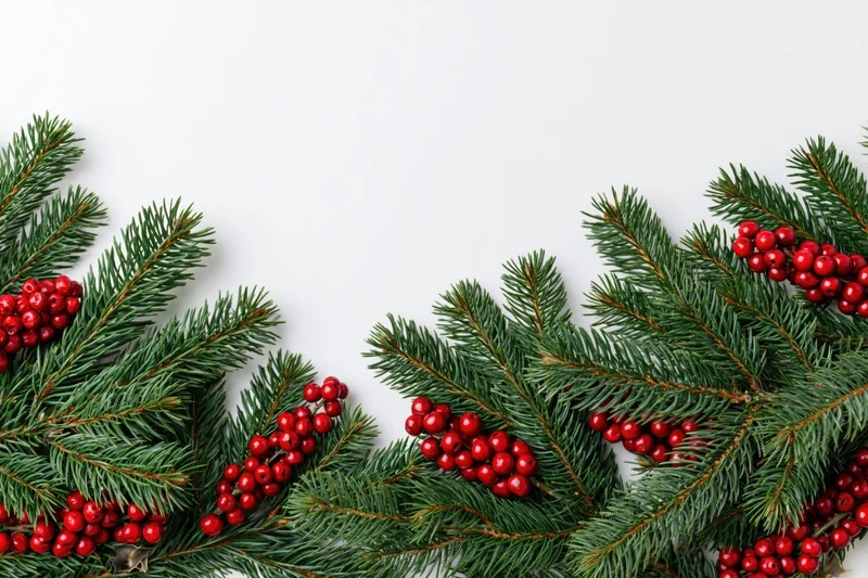Pine branches with red holly berries arranged along the bottom of a white surface