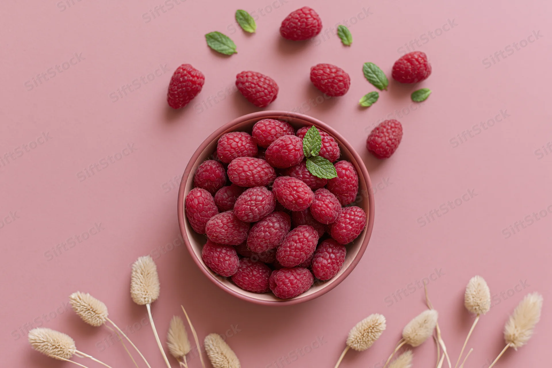 Fresh raspberries in a pink bowl with mint leaves and dried grasses on a pastel pink surface
