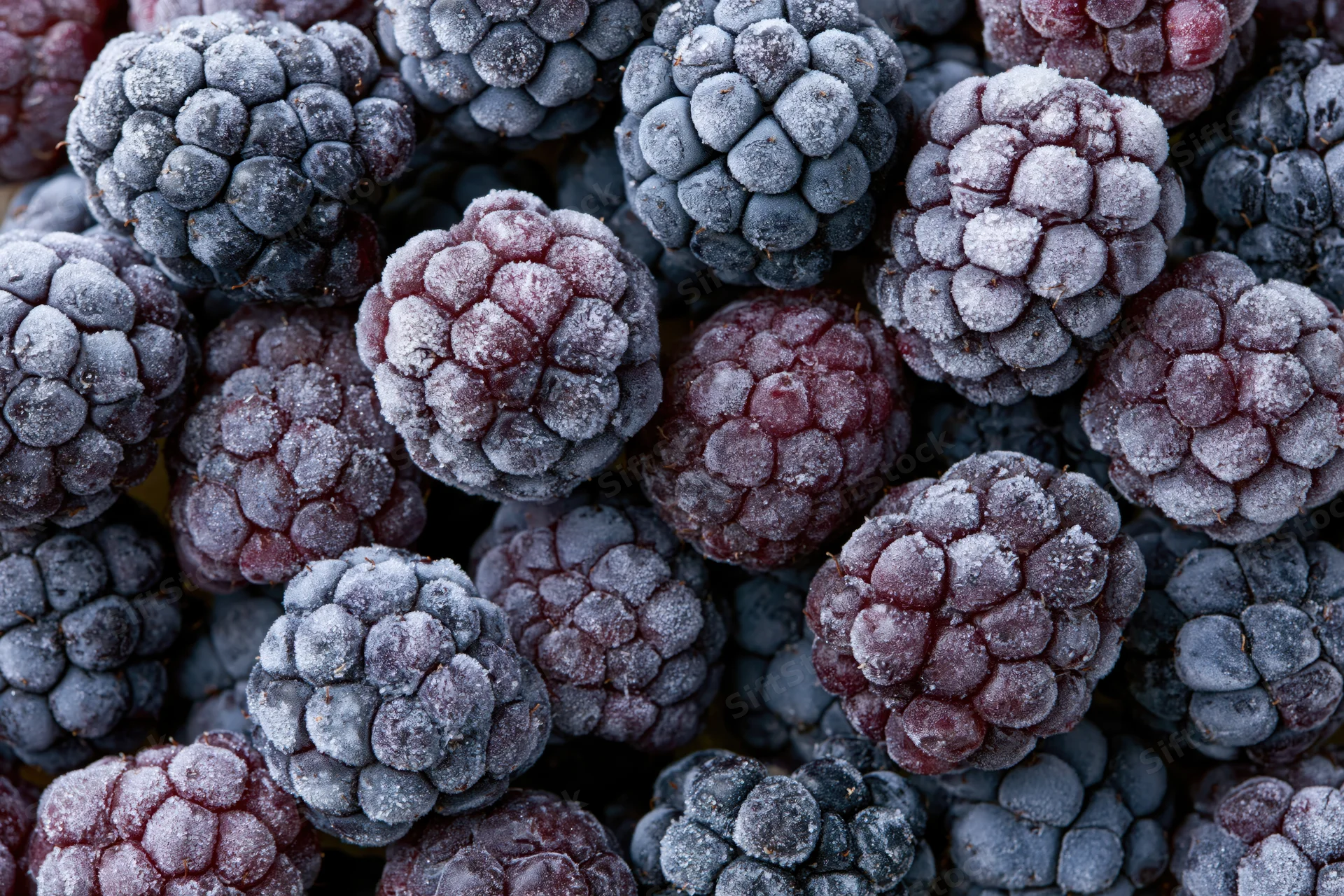 Frozen blackberries tightly packed in closeup view showing frost-covered texture