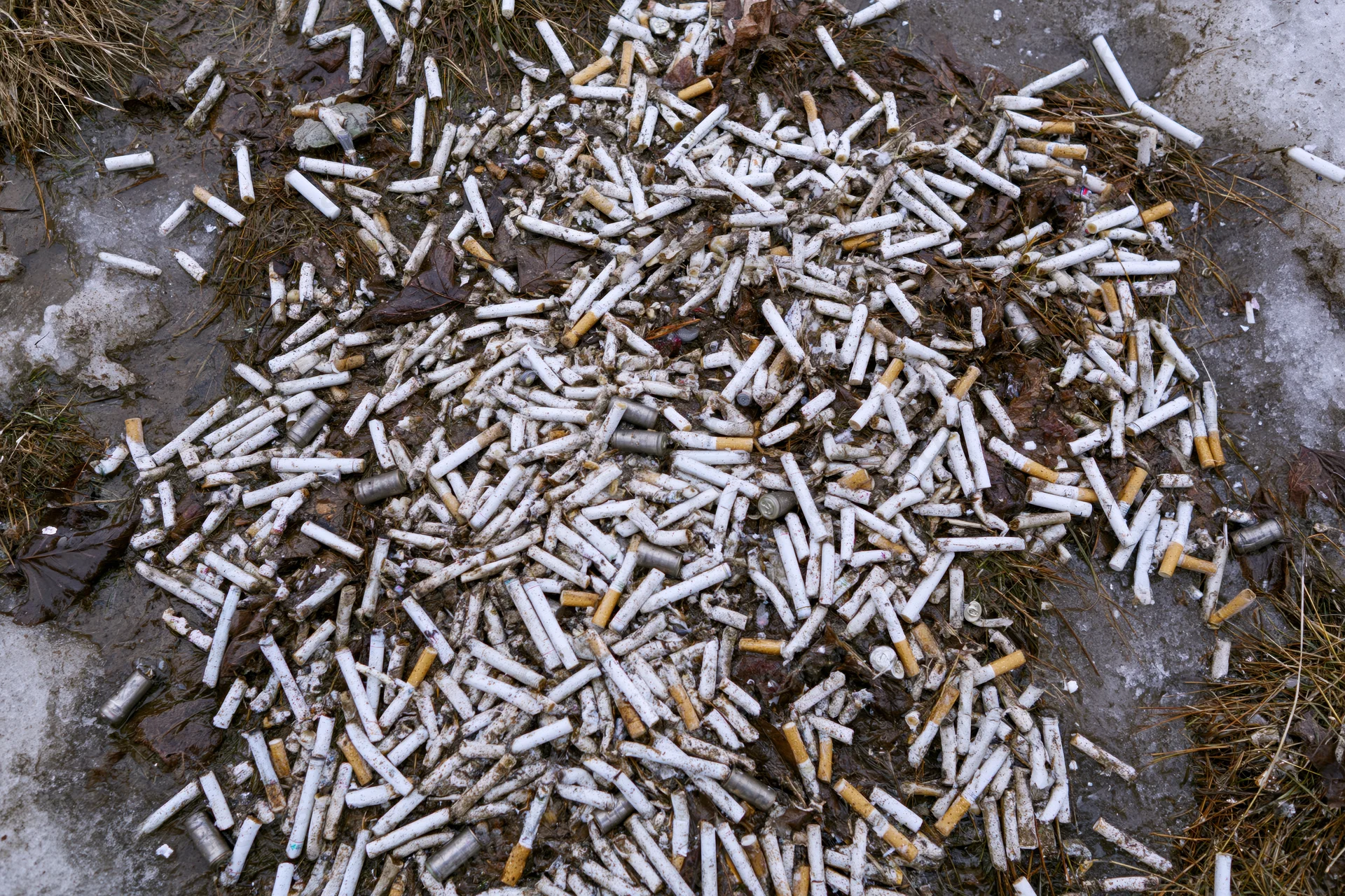 Cigarette butts scattered across muddy urban ground with dried leaves and ice