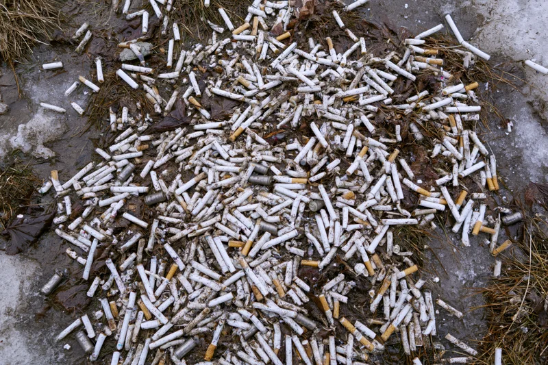 Cigarette butts scattered across muddy urban ground with dried leaves and ice