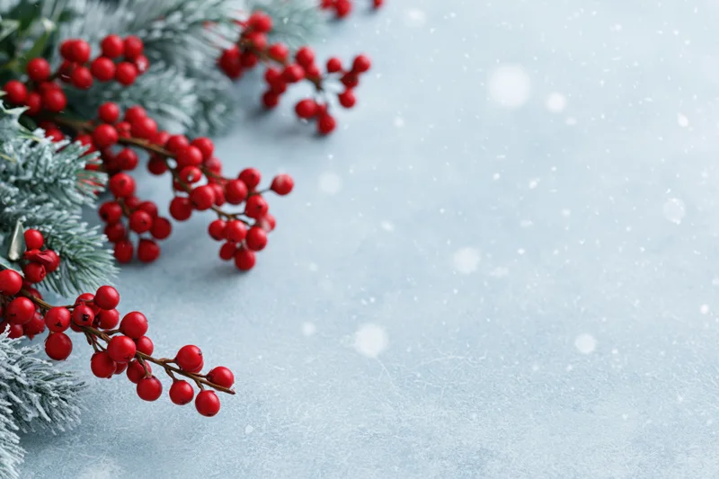 Frosted pine sprig with red holly berries arranged on a light blue textured surface with snowfall and copyspace