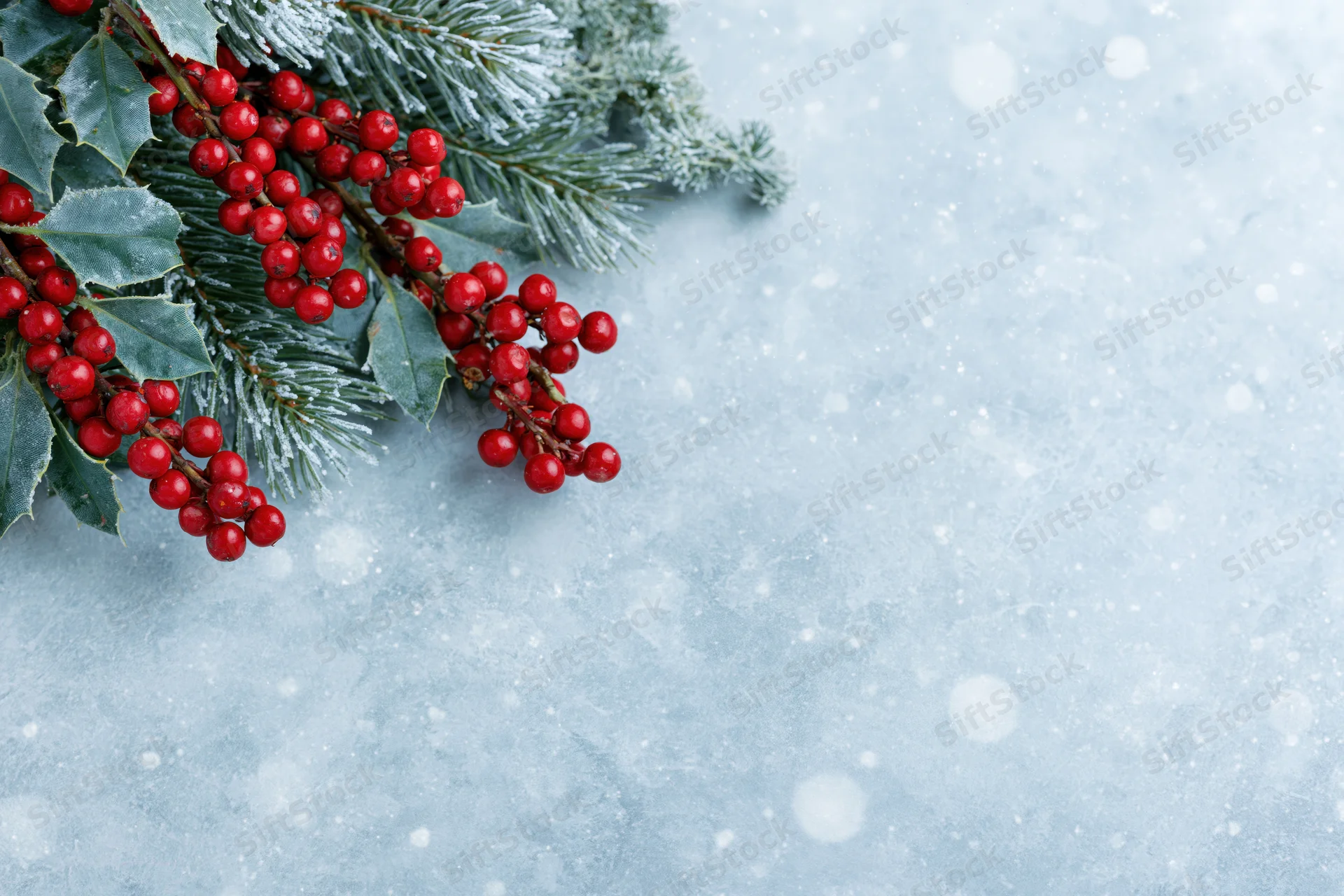 Frosted holly branches with red berries and pine sprig on icy textured surface with snowfall and copyspace