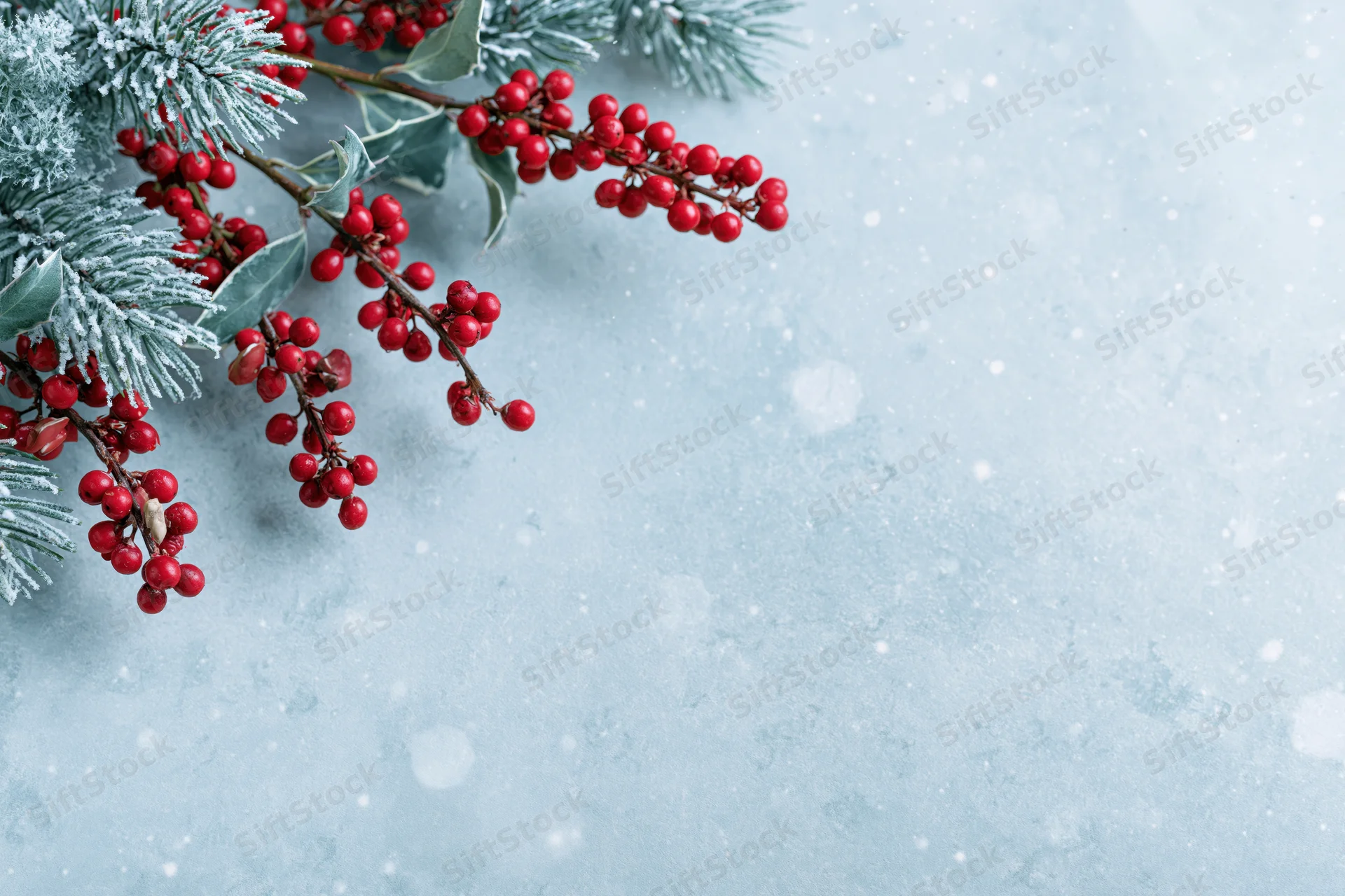 Frosted pine and holly branches with red berries arranged on a light blue textured surface with copyspace
