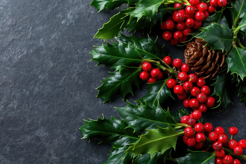 Holly branches with red berries and a pinecone arranged on a dark stone surface