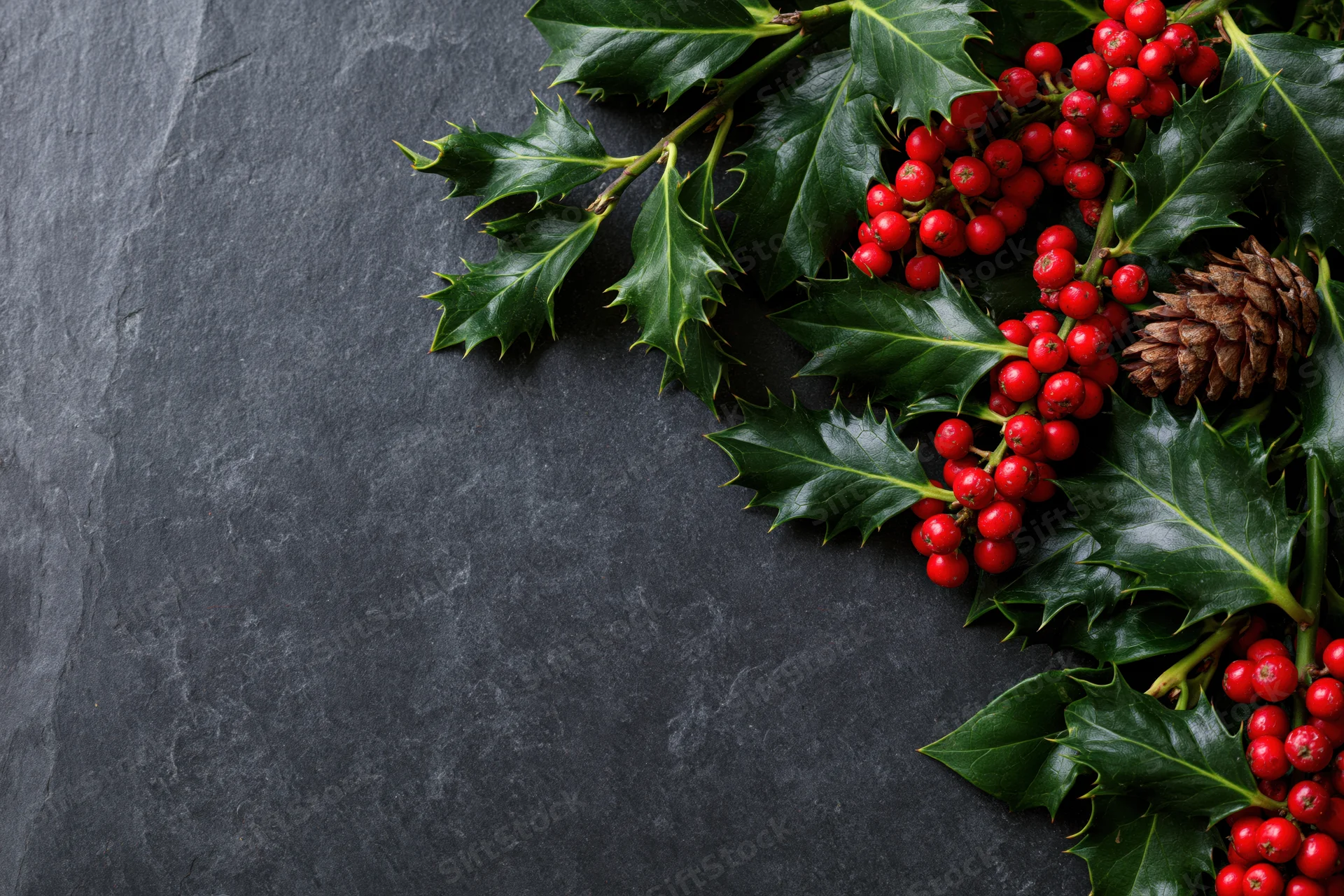 Holly branches with red berries and a pinecone arranged on dark slate surface