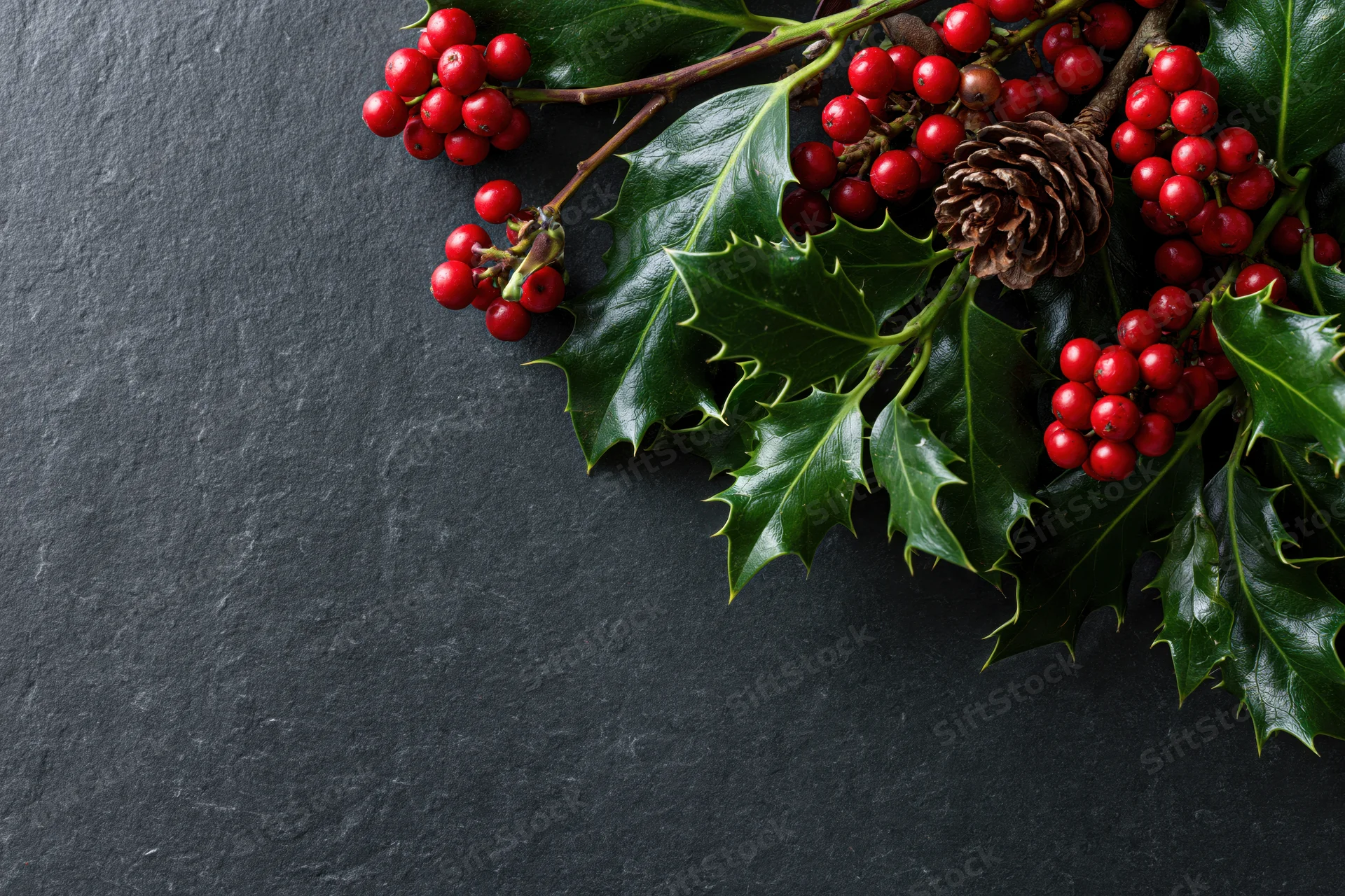 Holly branches with red berries and a pinecone arranged on a dark slate surface