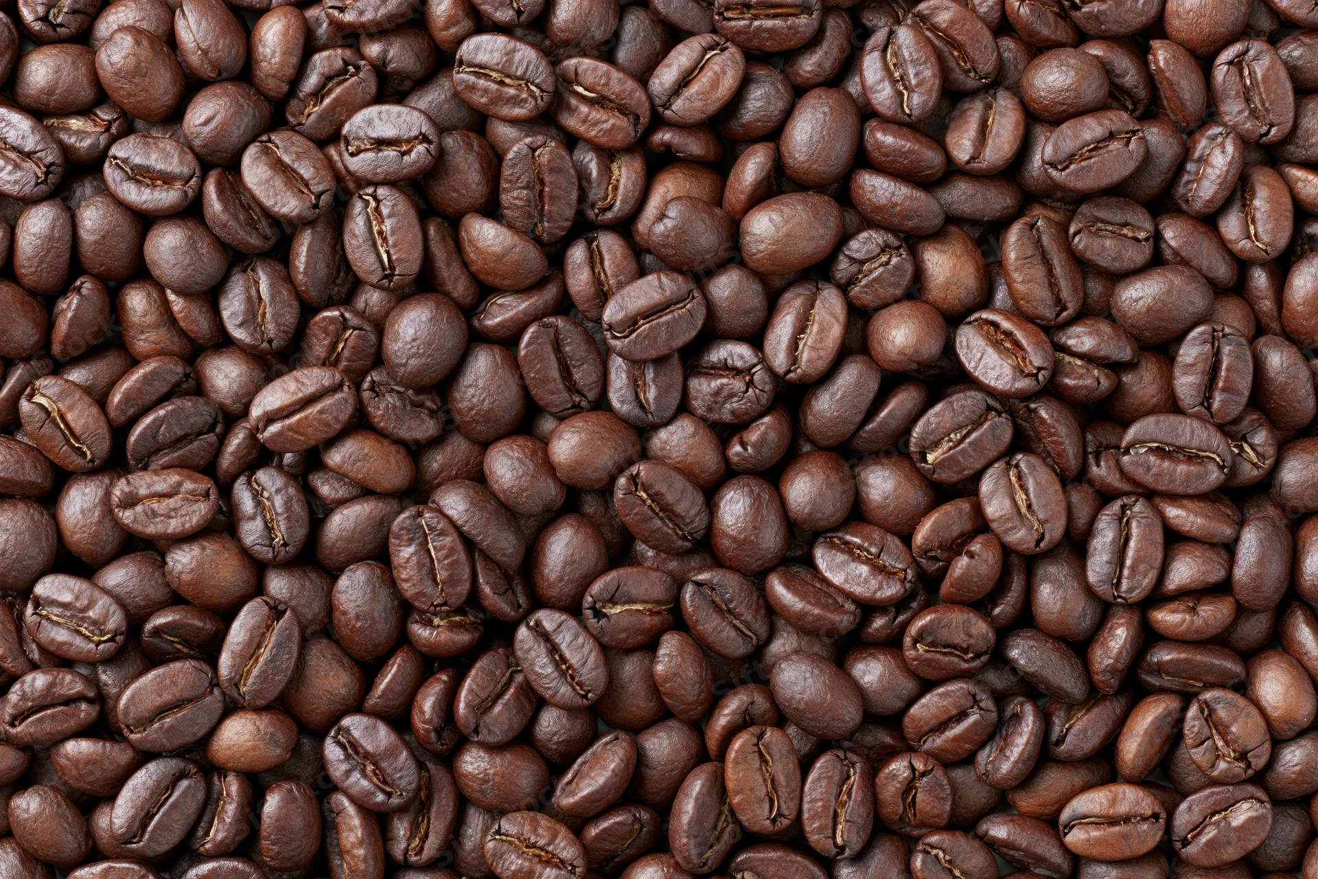 Roasted coffee beans densely spread across a flat surface