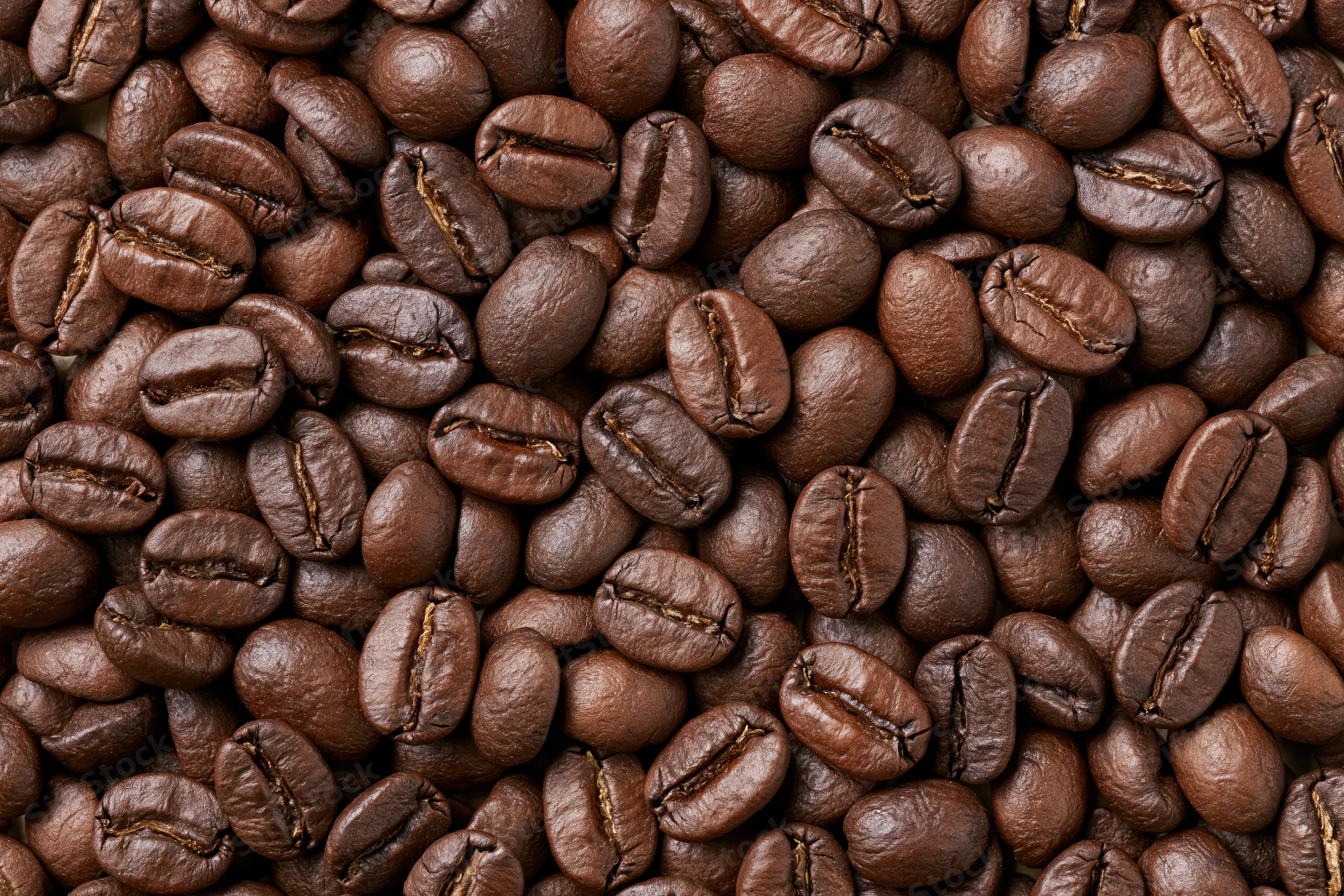 Roasted coffee beans densely spread across a flat surface in closeup view