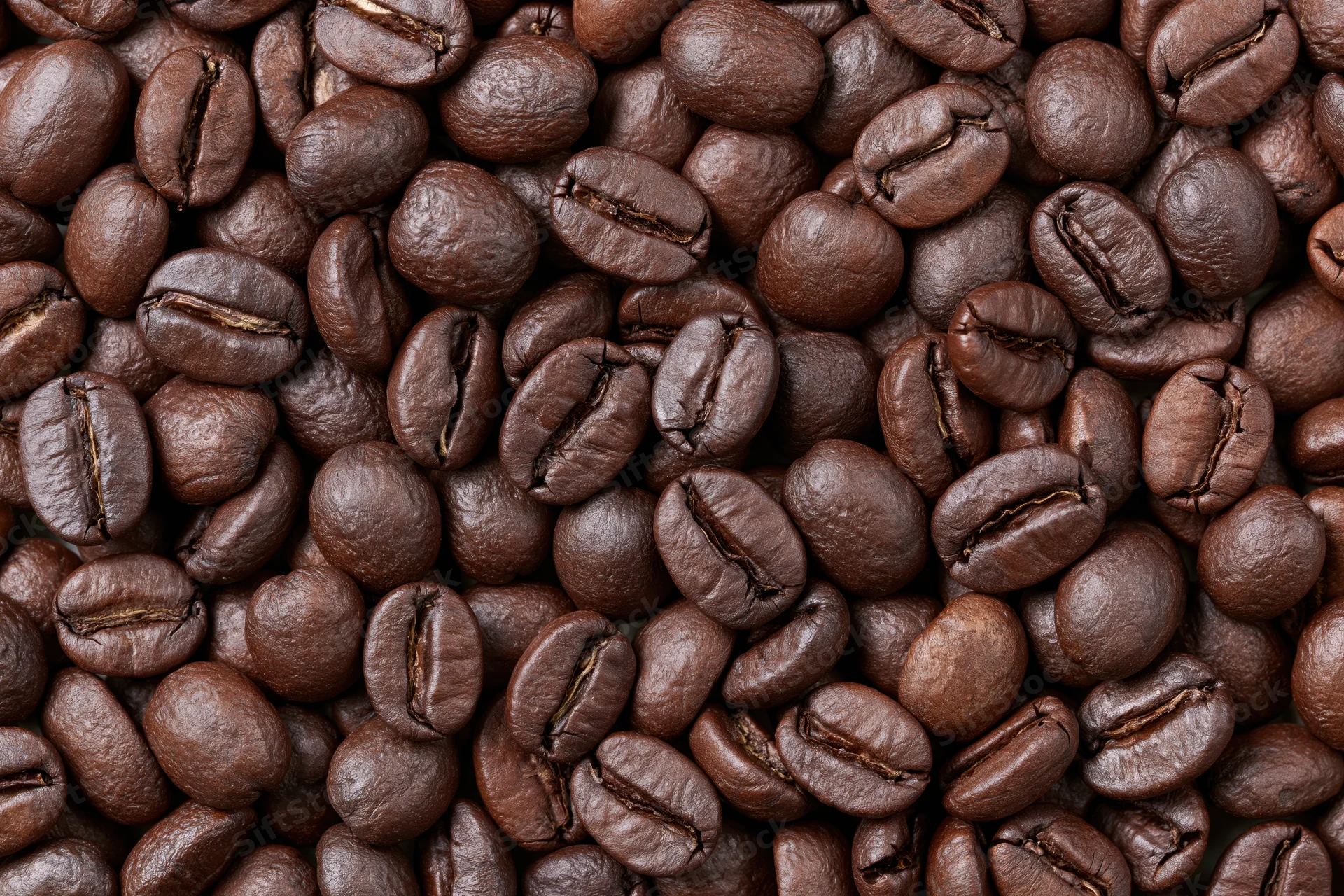 Roasted coffee beans densely spread in a closeup view showing texture and rich brown color