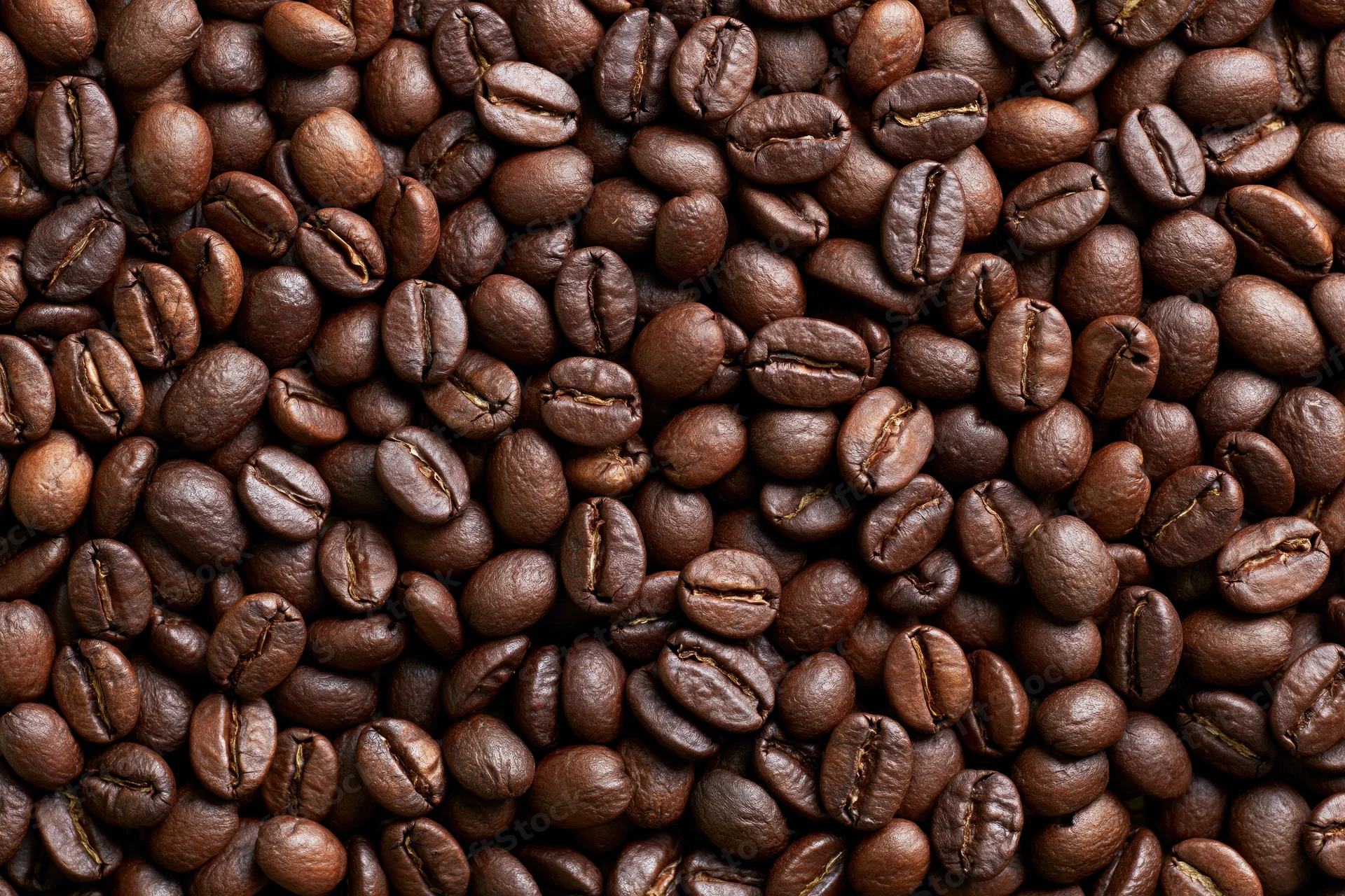 Roasted coffee beans densely spread across a flat surface in closeup view