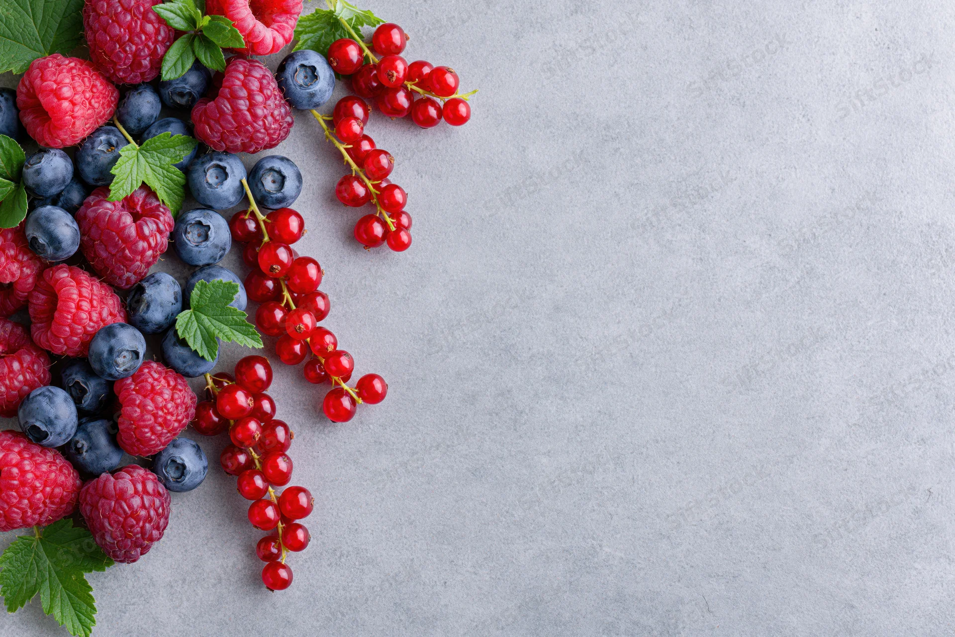 Mixed fresh berries including raspberries blueberries and red currants arranged on a gray surface with copyspace