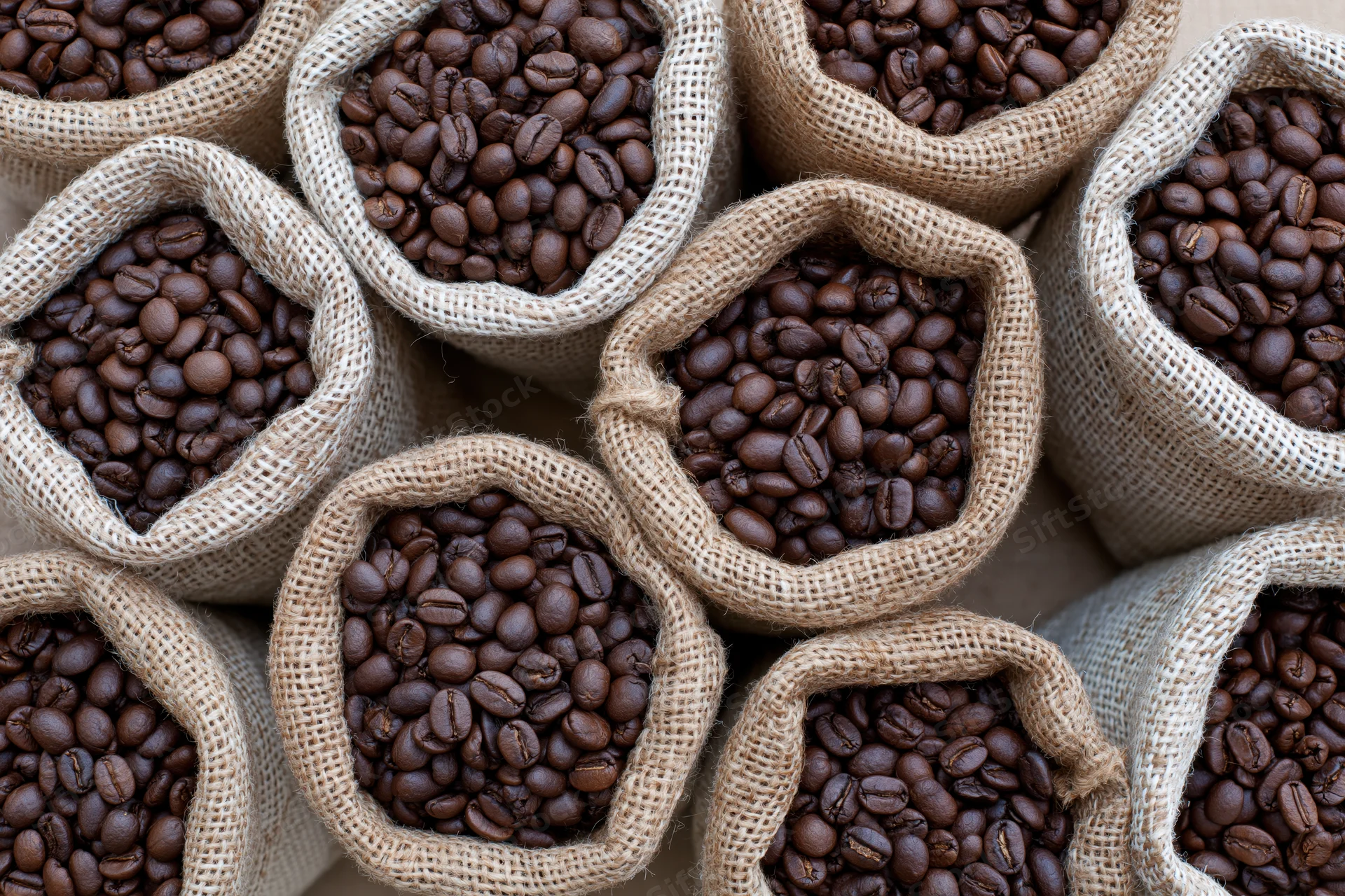 Roasted coffee beans filling small burlap sacks arranged in rows