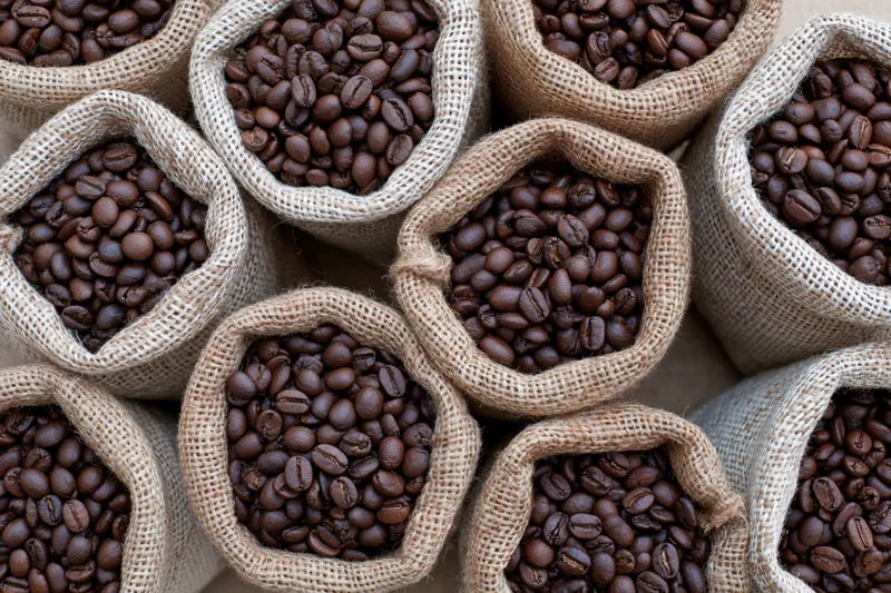 Roasted coffee beans filling small burlap sacks arranged in rows