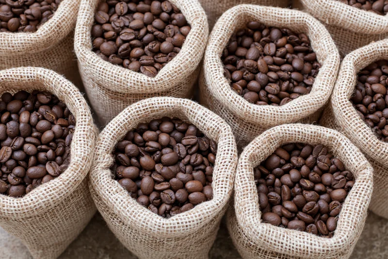 Roasted coffee beans filling small burlap sacks arranged in rows