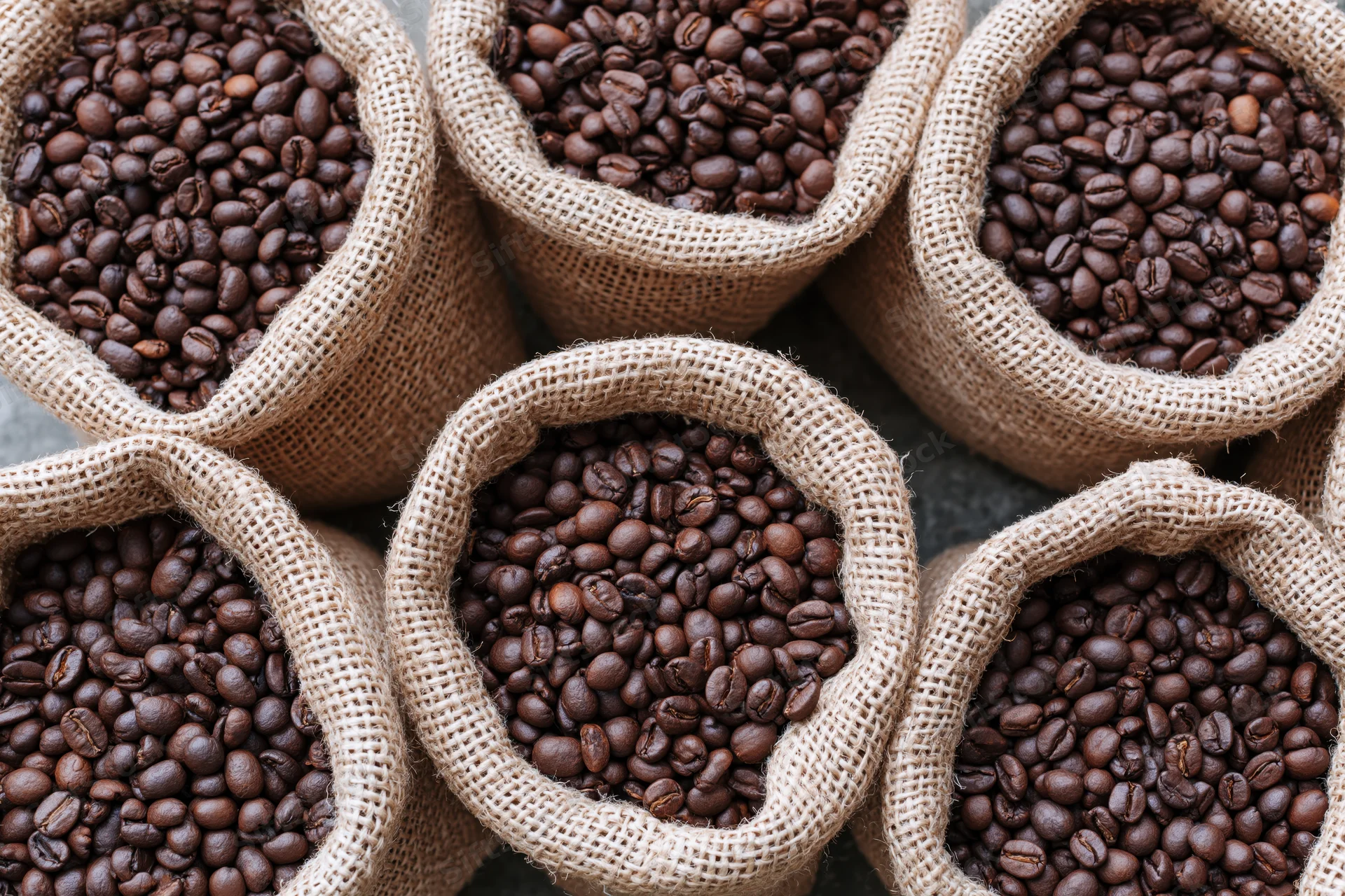 Roasted coffee beans filling multiple small burlap sacks viewed from above