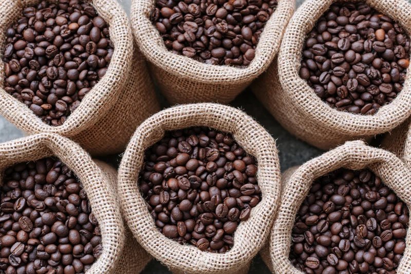 Roasted coffee beans filling multiple small burlap sacks viewed from above