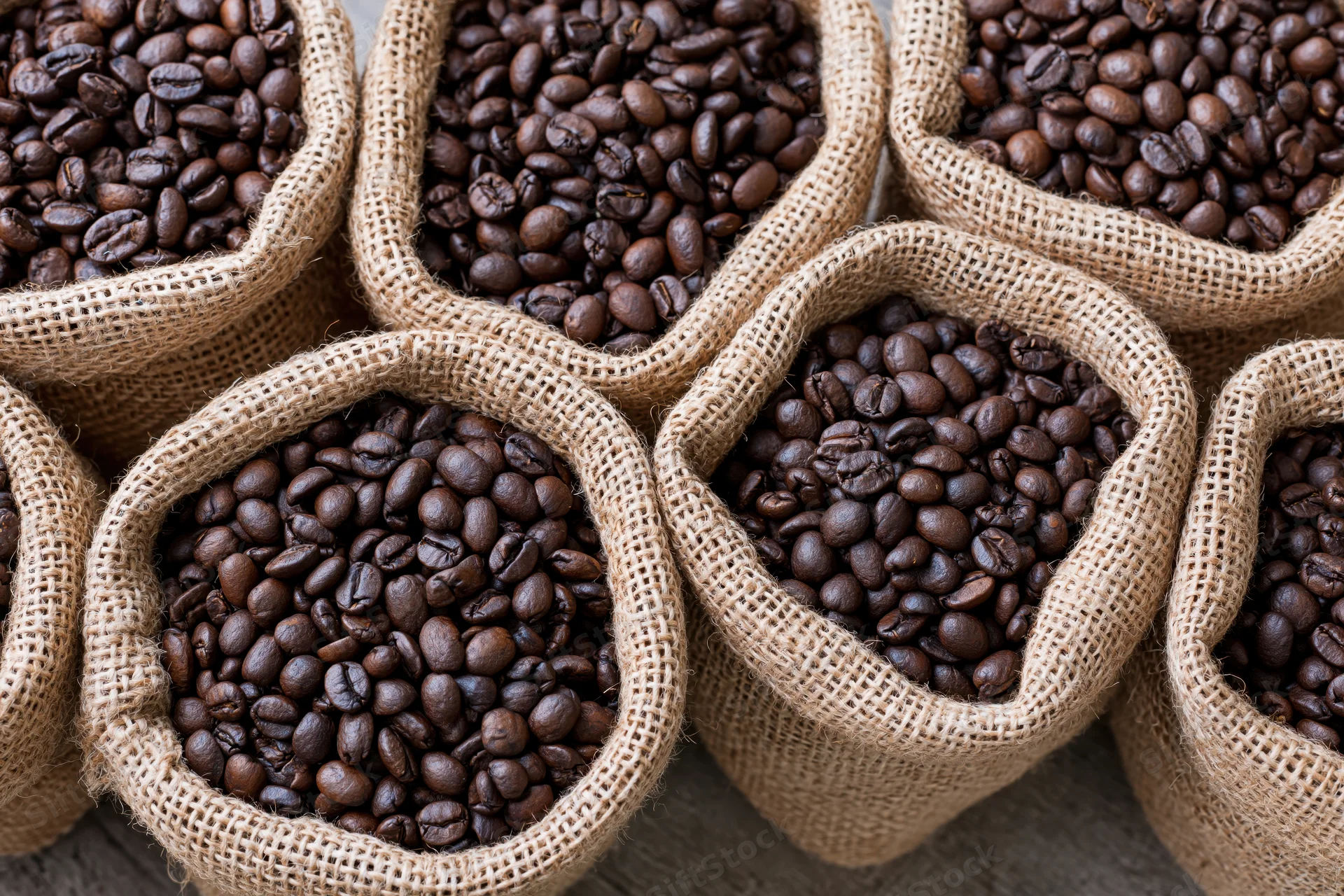Roasted coffee beans filling small burlap sacks arranged in rows on a wooden surface