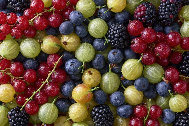Overhead flat-lay of mixed fresh berries densely packed across the frame