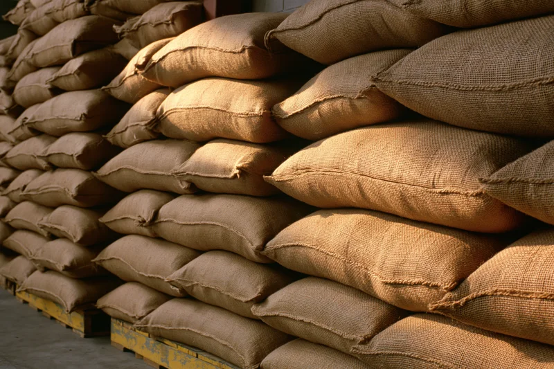 Rows of bulging burlap sacks stacked in tight columns on wooden pallets in a warehouse