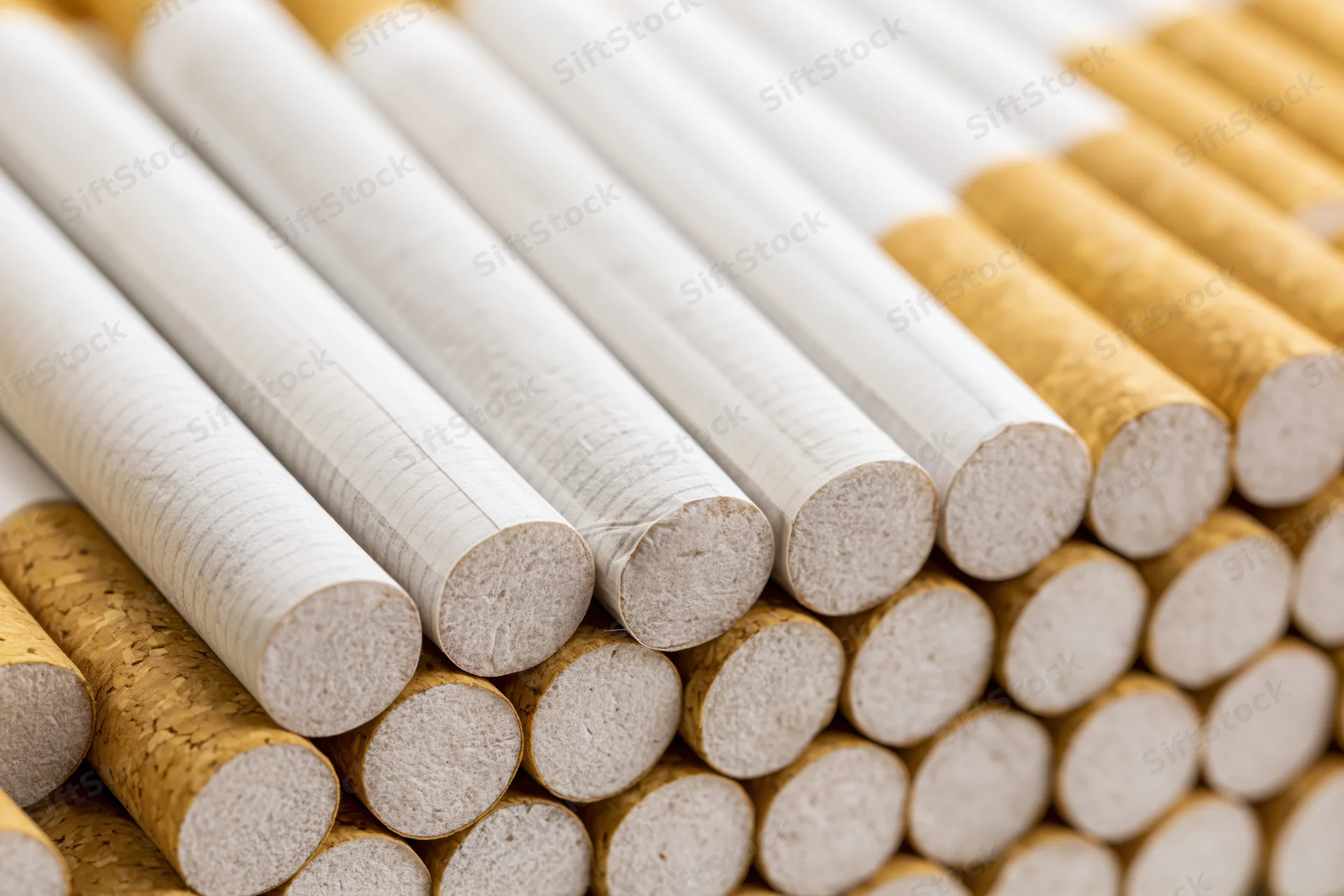 Rows of unlit cigarettes stacked tightly together showing filter ends