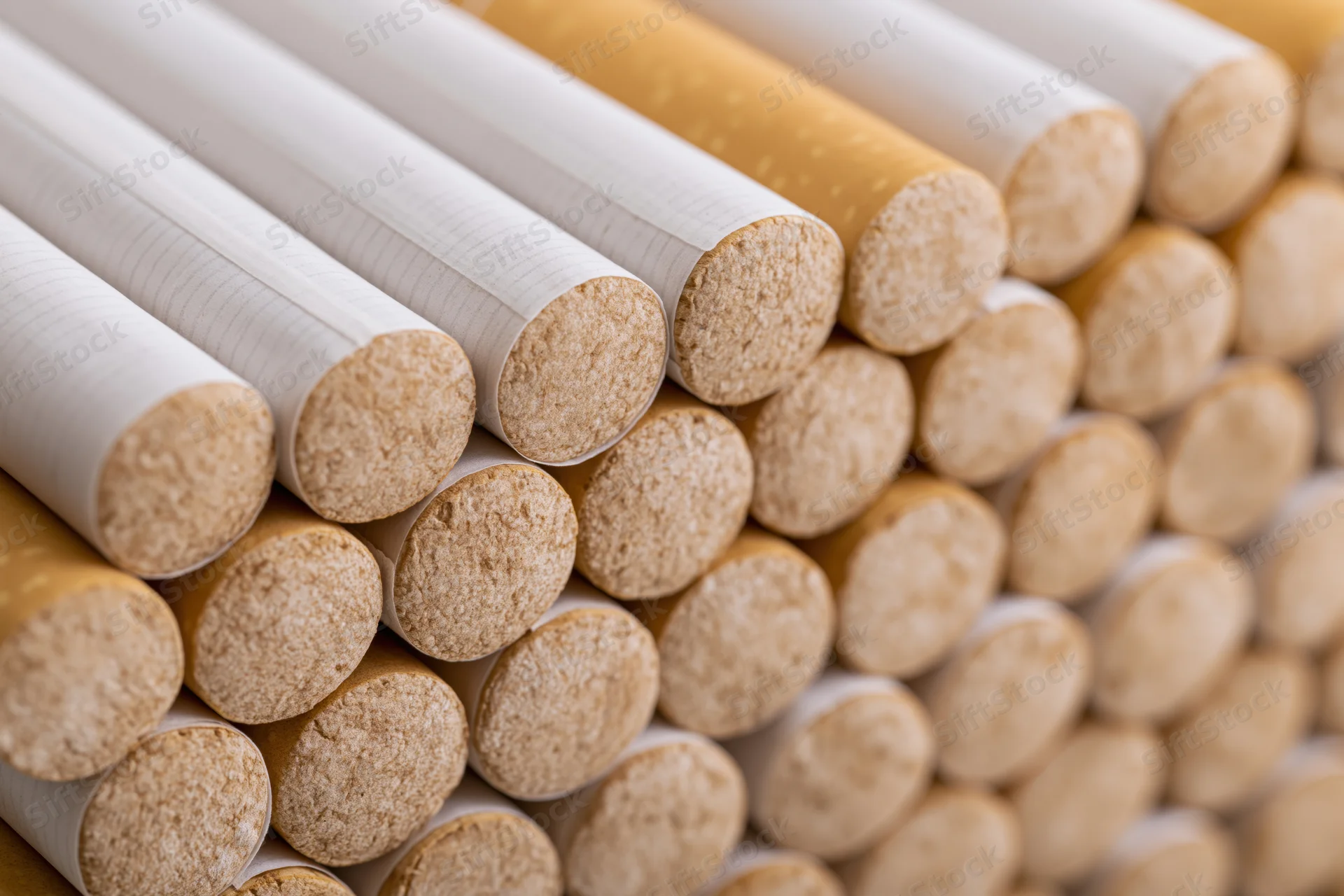 Rows of unlit cigarettes stacked tightly together showing filter ends